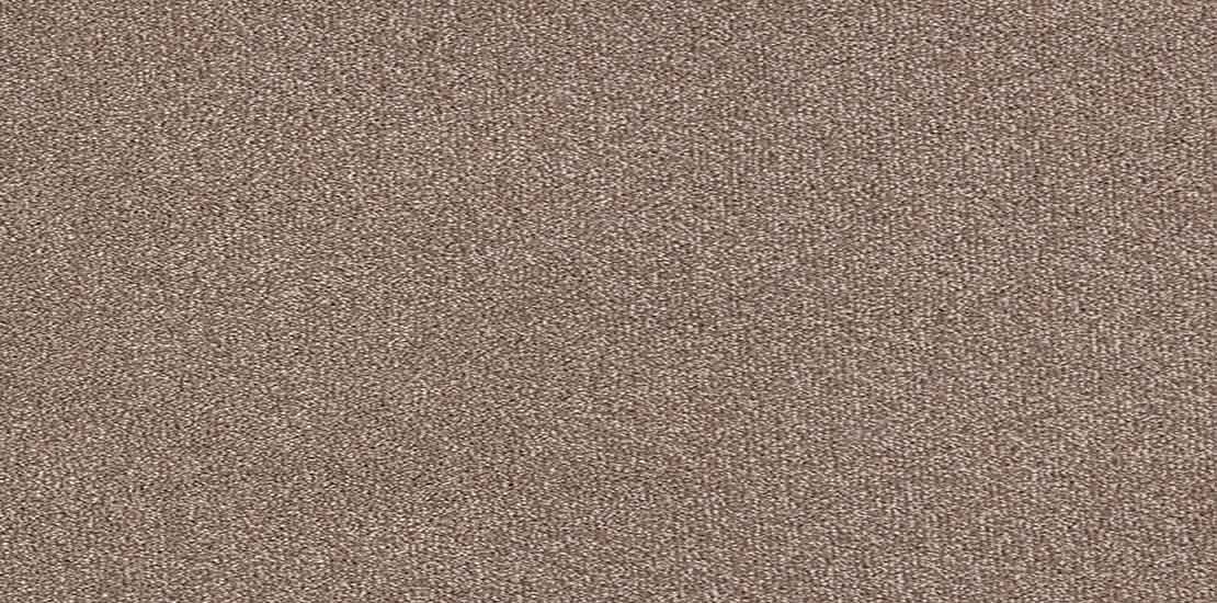 Trident Ash Carpet Flooring